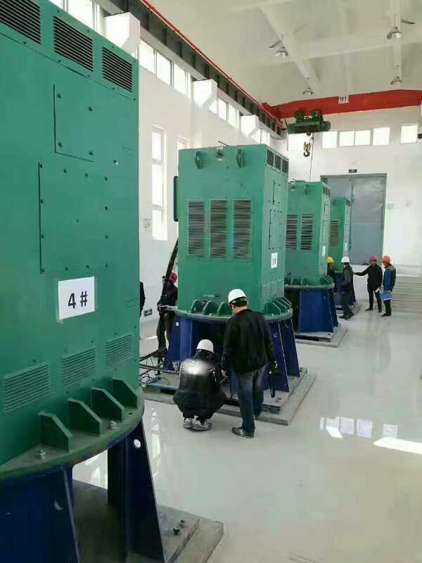 自贡某污水处理厂使用我厂的立式高压电机安装现场质量好不好